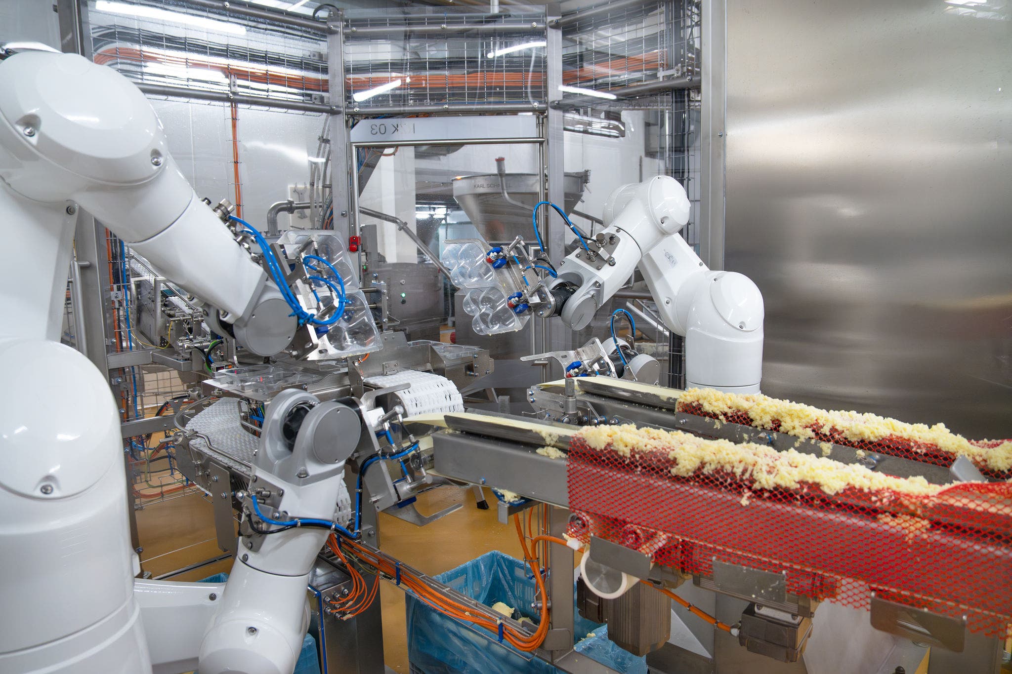 Robots package potato dumplings