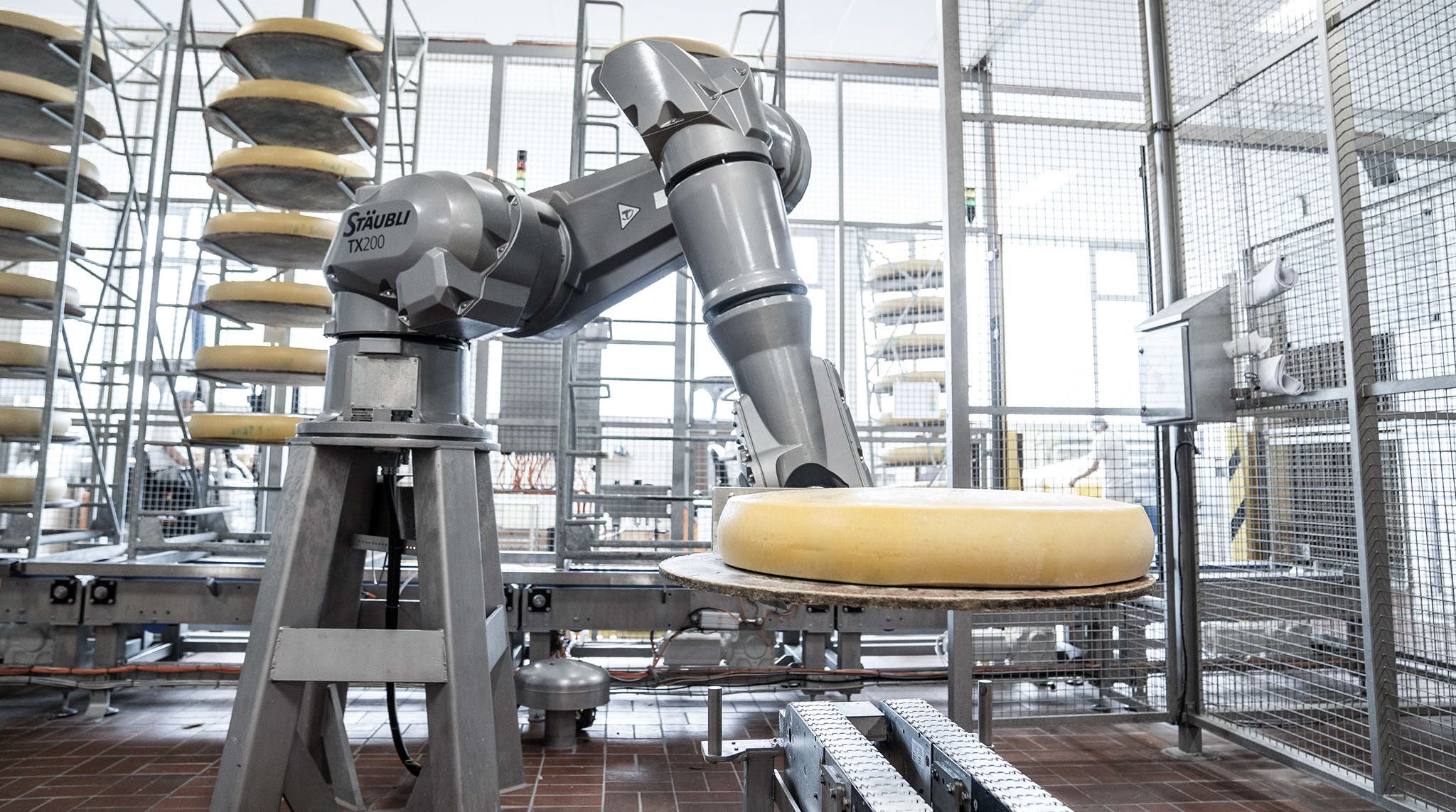 HE Robot for cheese handling at leupolz käserei